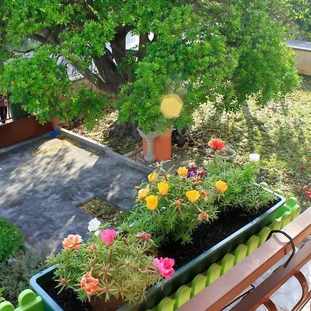 Volga Apartment *